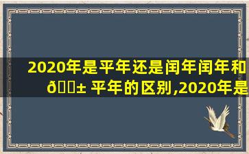 2020年是平年还是闰年闰年和 🐱 平年的区别,2020年是平 🐎 年还是闰年闰年和平年的区别是什么